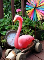 Flamingo pic 4