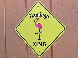 Flamingo Crossing