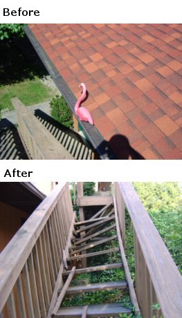 flamingo pic 13 - Before & After